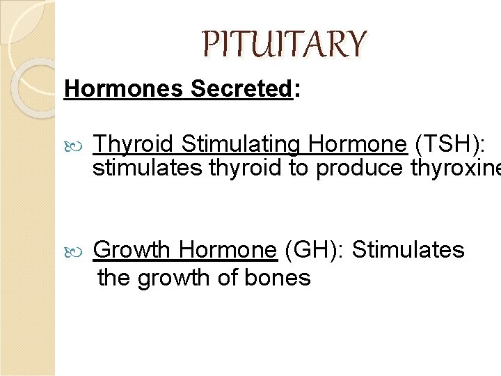 PITUITARY Hormones Secreted: Thyroid Stimulating Hormone (TSH): stimulates thyroid to produce thyroxine Growth Hormone