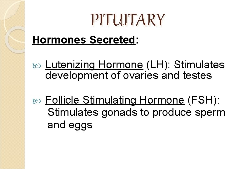 PITUITARY Hormones Secreted: Lutenizing Hormone (LH): Stimulates development of ovaries and testes Follicle Stimulating