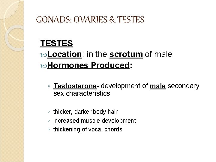 GONADS: OVARIES & TESTES Location: in the scrotum of male Hormones Produced: ◦ Testosterone-