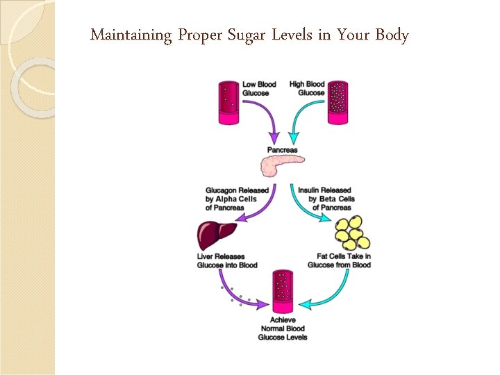 Maintaining Proper Sugar Levels in Your Body 