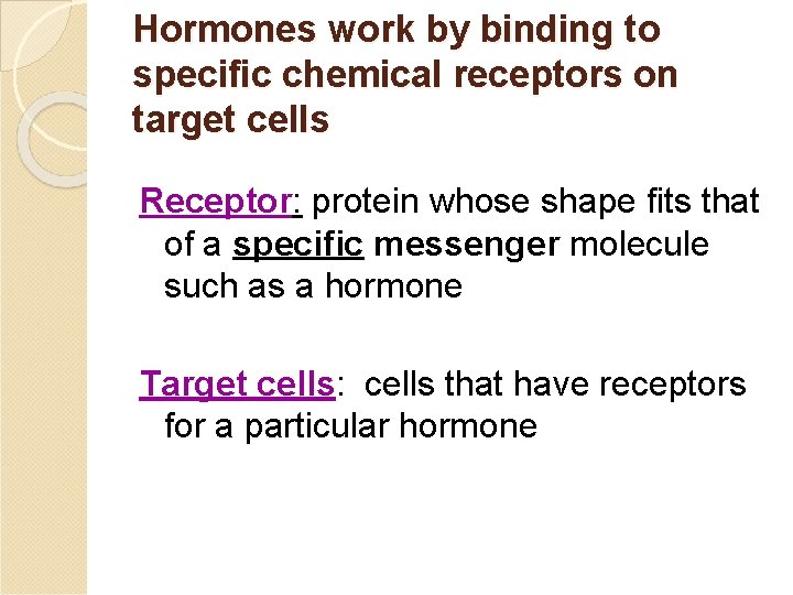 Hormones work by binding to specific chemical receptors on target cells Receptor: protein whose