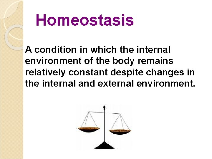 Homeostasis A condition in which the internal environment of the body remains relatively constant