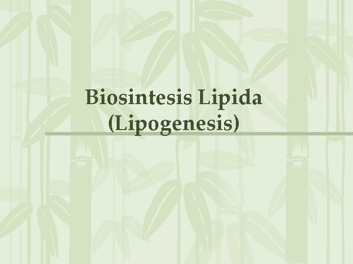 Biosintesis Lipida (Lipogenesis) 
