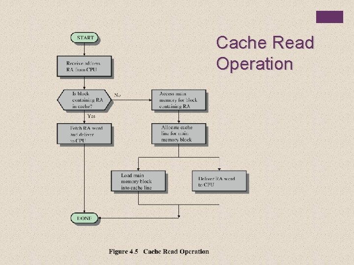 Cache Read Operation 