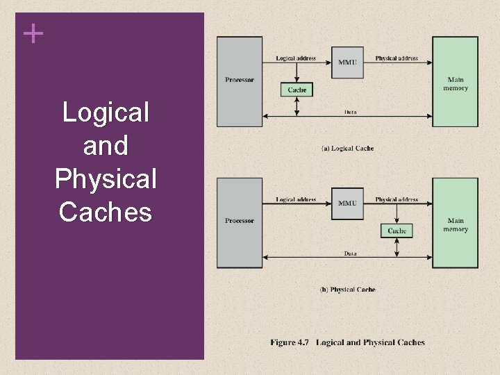 + Logical and Physical Caches 