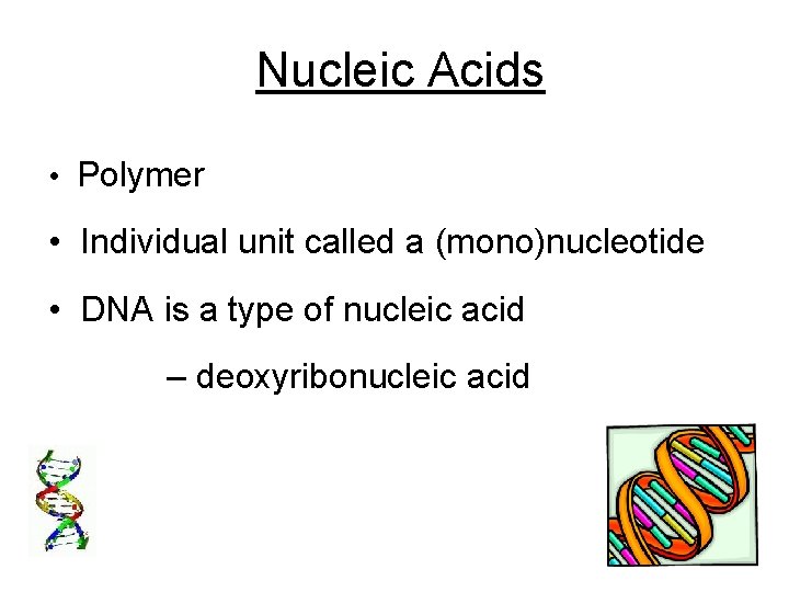 Nucleic Acids • Polymer • Individual unit called a (mono)nucleotide • DNA is a