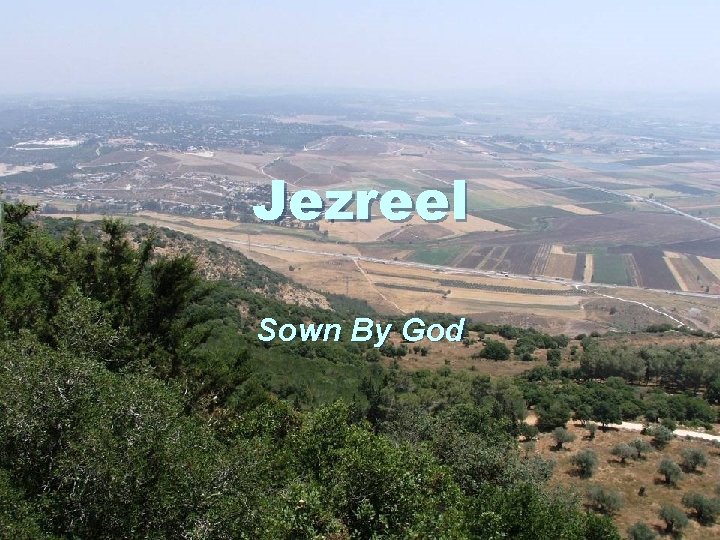 Jezreel Sown By God 