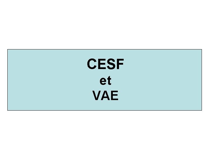 CESF et VAE 