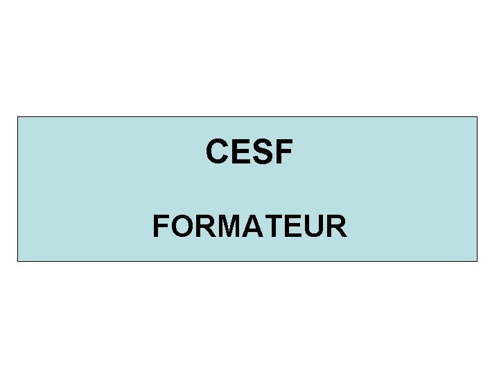 CESF FORMATEUR 
