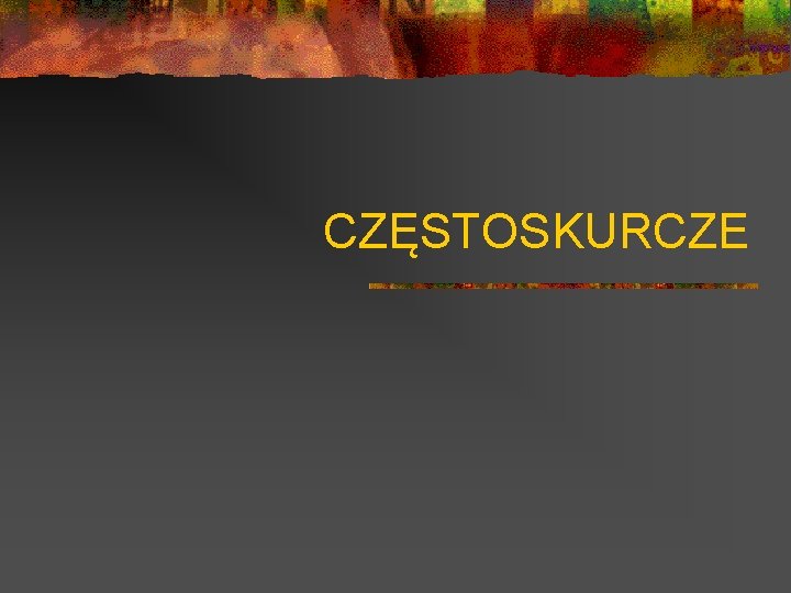 CZĘSTOSKURCZE 