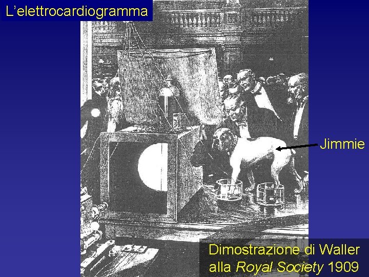 L’elettrocardiogramma Jimmie Dimostrazione di Waller alla Royal Society 1909 