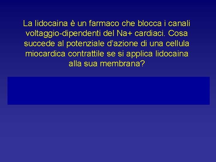 La lidocaina è un farmaco che blocca i canali voltaggio-dipendenti del Na+ cardiaci. Cosa