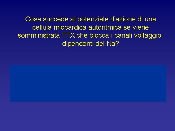 Cosa succede al potenziale d’azione di una cellula miocardica autoritmica se viene somministrata TTX