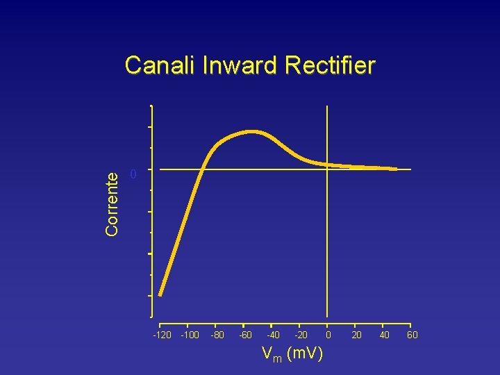 Corrente Canali Inward Rectifier 0 -120 -100 -80 -60 -40 -20 Vm (m. V)
