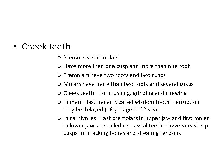  • Cheek teeth Premolars and molars Have more than one cusp and more