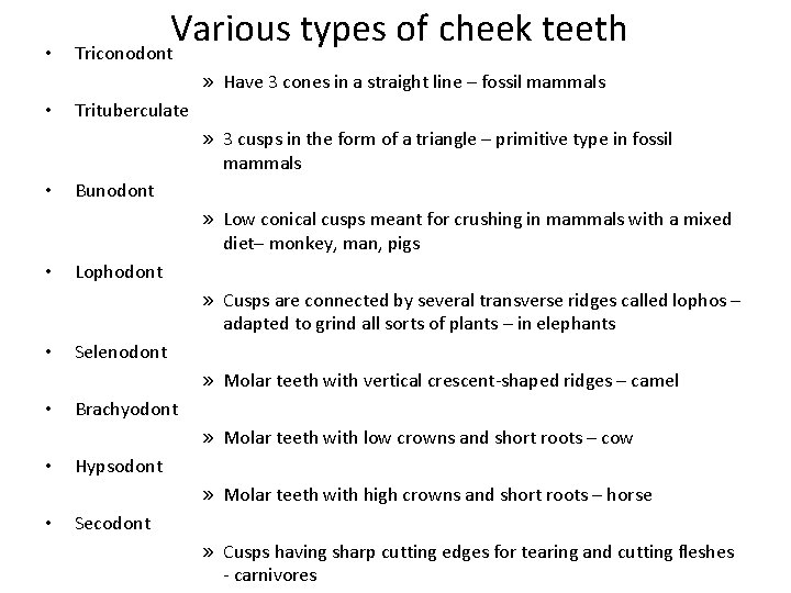  • Various types of cheek teeth Triconodont » Have 3 cones in a