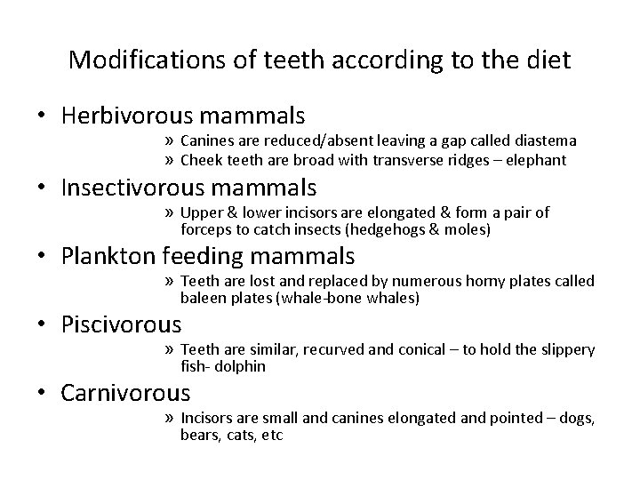 Modifications of teeth according to the diet • Herbivorous mammals » Canines are reduced/absent