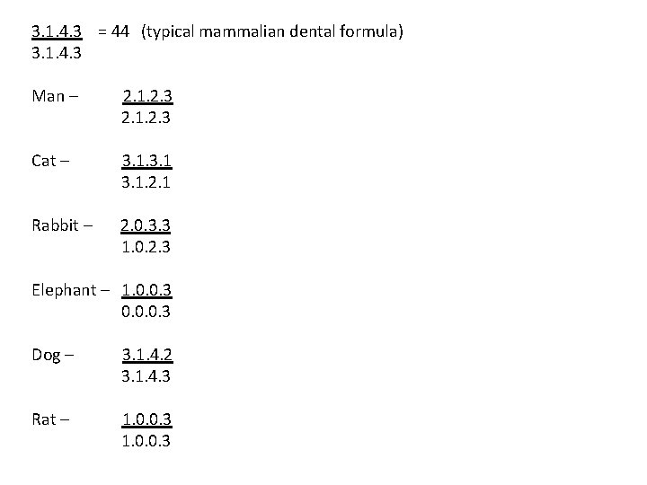 3. 1. 4. 3 = 44 (typical mammalian dental formula) 3. 1. 4. 3