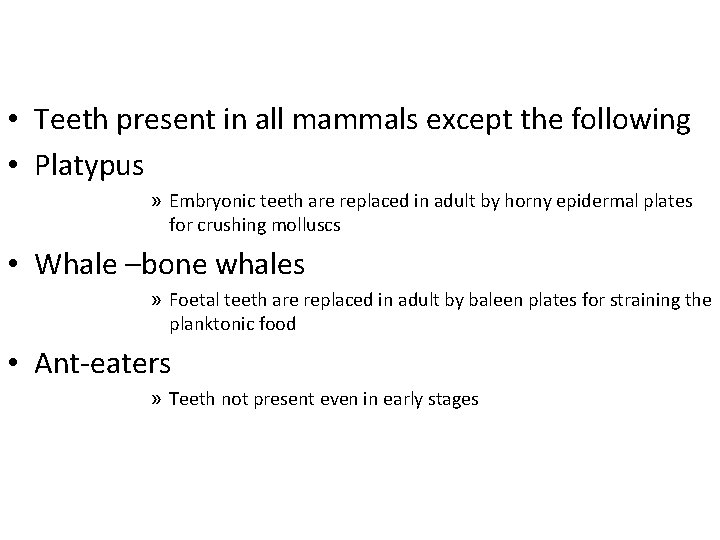  • Teeth present in all mammals except the following • Platypus » Embryonic