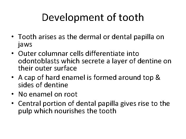 Development of tooth • Tooth arises as the dermal or dental papilla on jaws