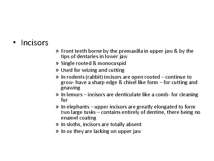  • Incisors » Front teeth borne by the premaxilla in upper jaw &