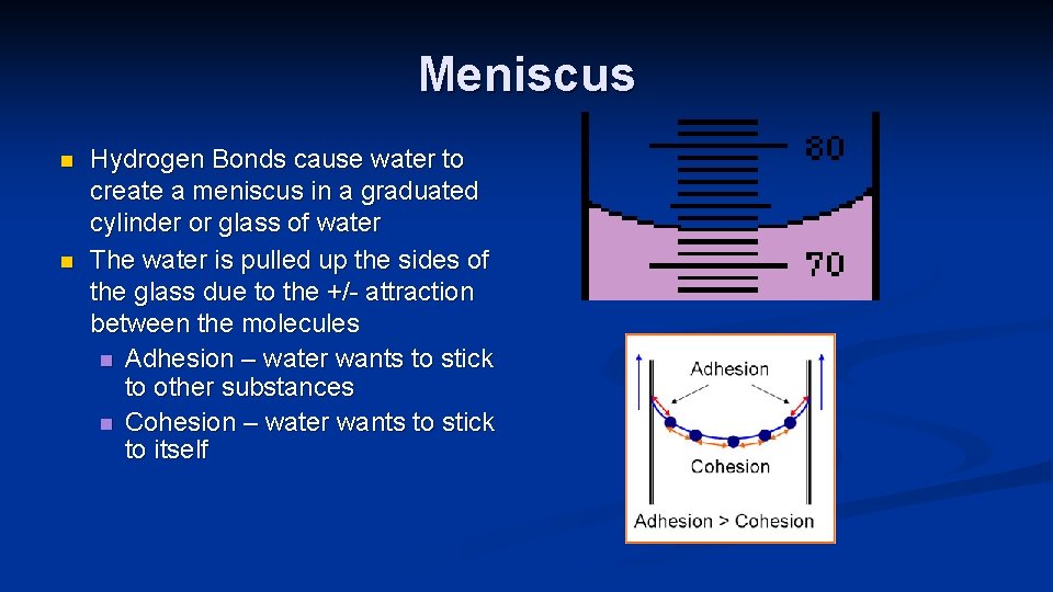 Meniscus n n Hydrogen Bonds cause water to create a meniscus in a graduated