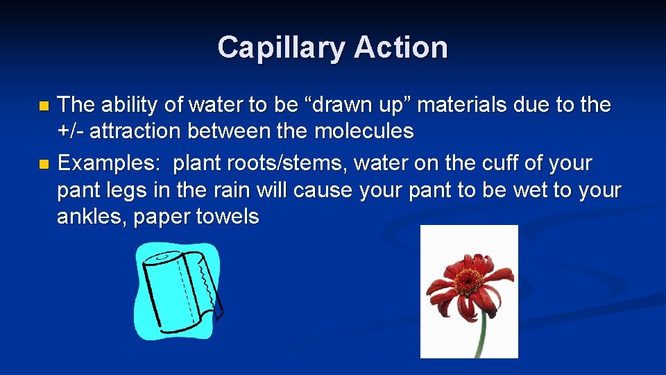 Capillary Action The ability of water to be “drawn up” materials due to the