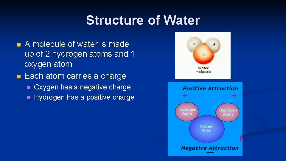Structure of Water n n A molecule of water is made up of 2