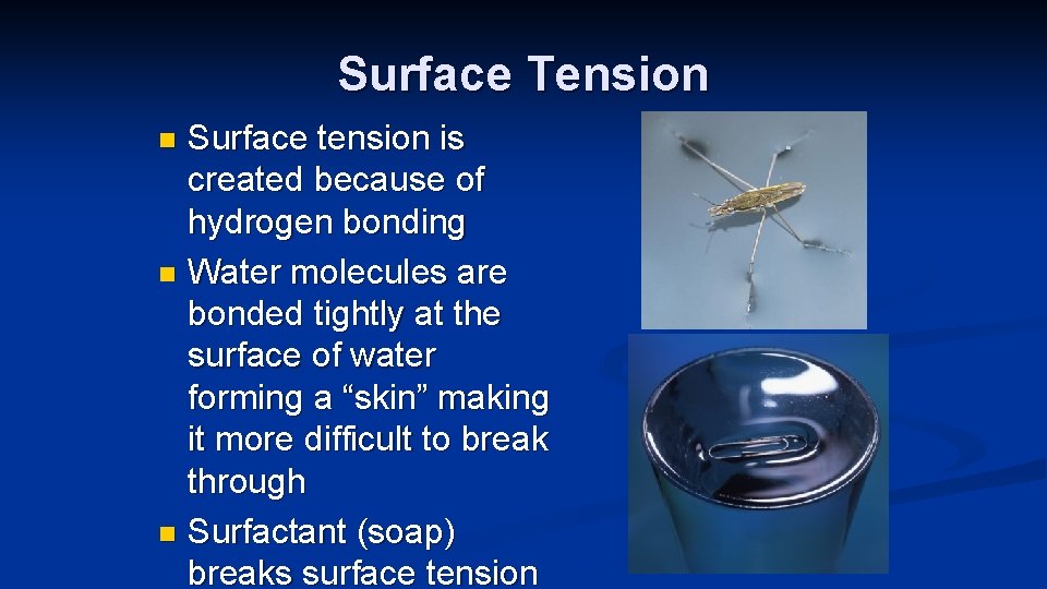 Surface Tension Surface tension is created because of hydrogen bonding n Water molecules are