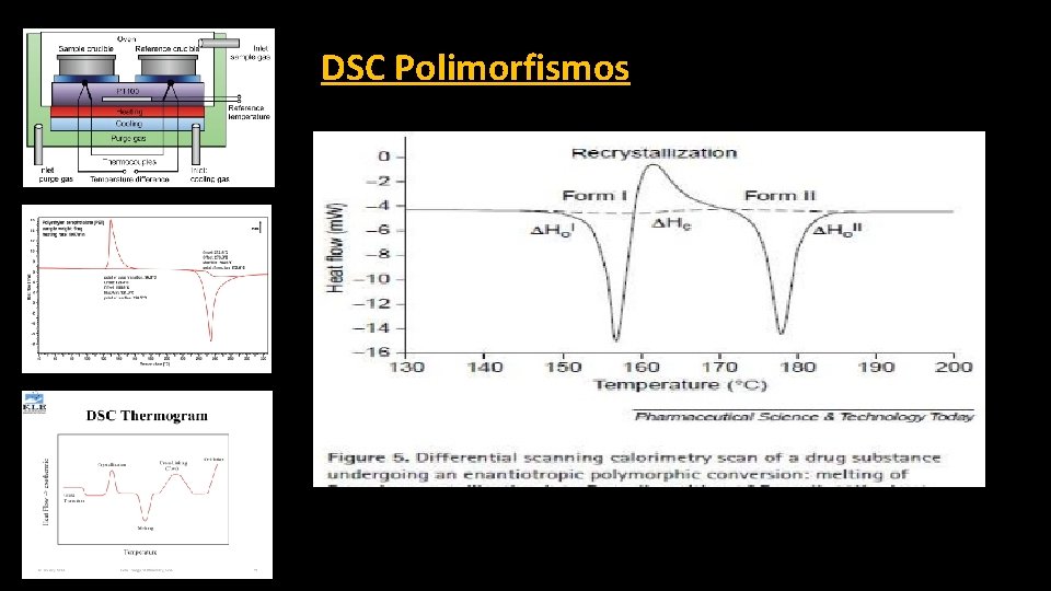 DSC Polimorfismos 