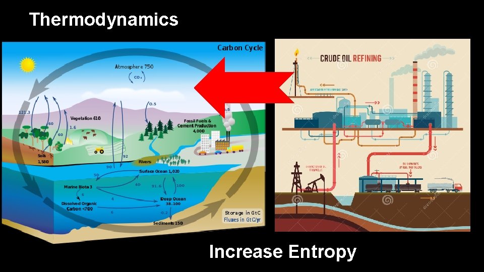 Thermodynamics Increase Entropy 