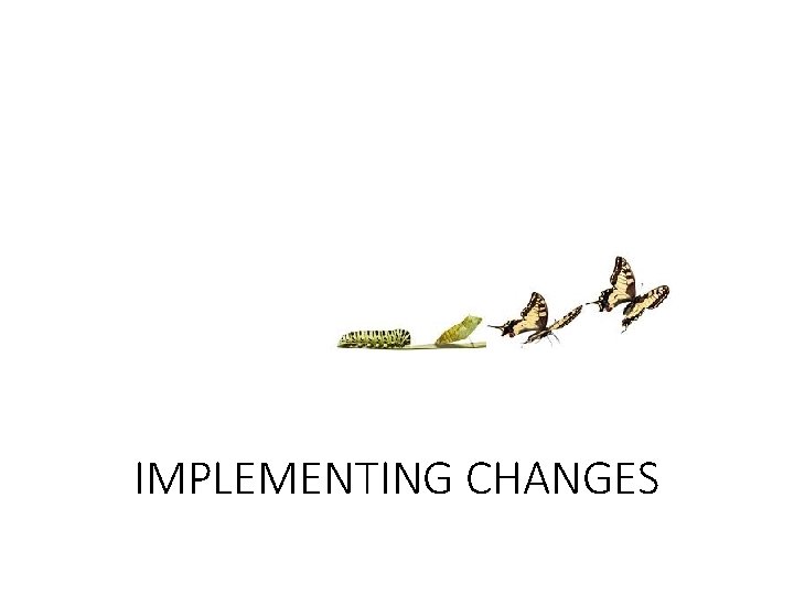 IMPLEMENTING CHANGES 