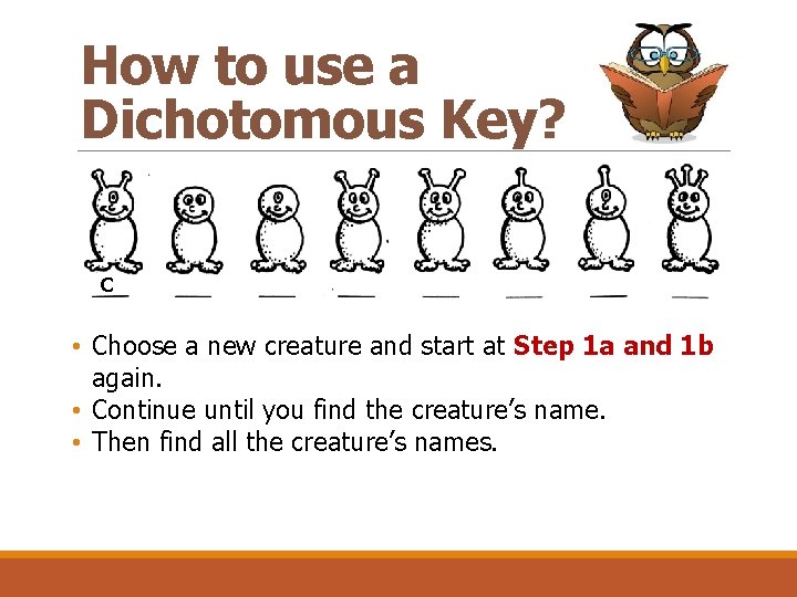 How to use a Dichotomous Key? C • Choose a new creature and start