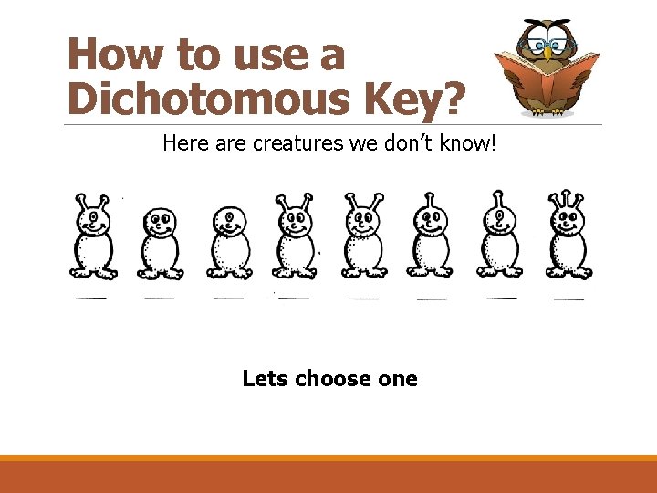 How to use a Dichotomous Key? Here are creatures we don’t know! Lets choose