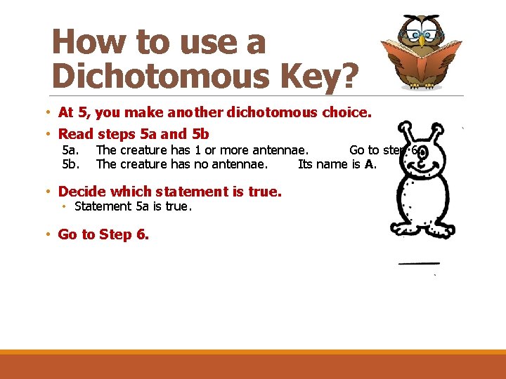 How to use a Dichotomous Key? • At 5, you make another dichotomous choice.