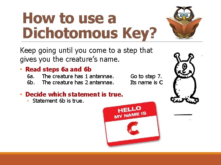 How to use a Dichotomous Key? Keep going until you come to a step