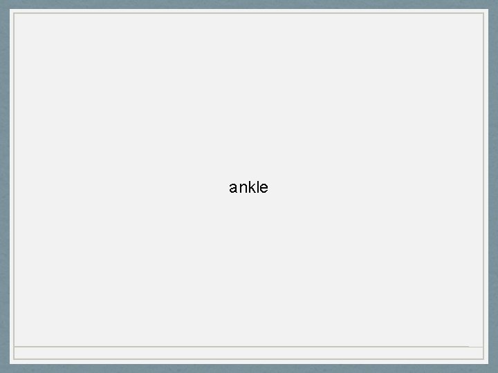 ankle 