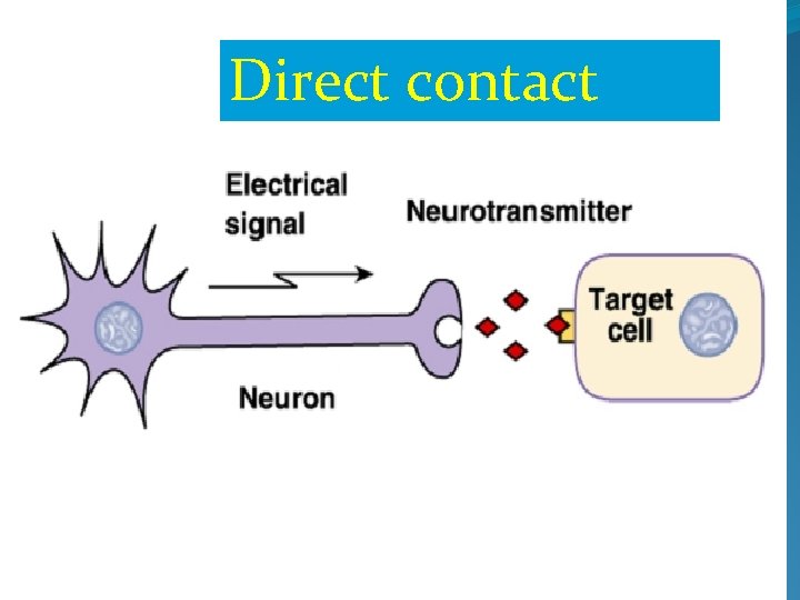 Direct contact 