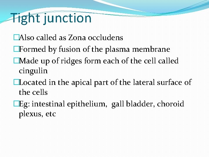 Tight junction �Also called as Zona occludens �Formed by fusion of the plasma membrane