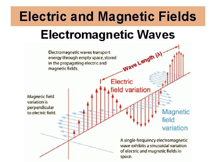 Electric and Magnetic Fields Electromagnetic Waves W L e v a e (λ h