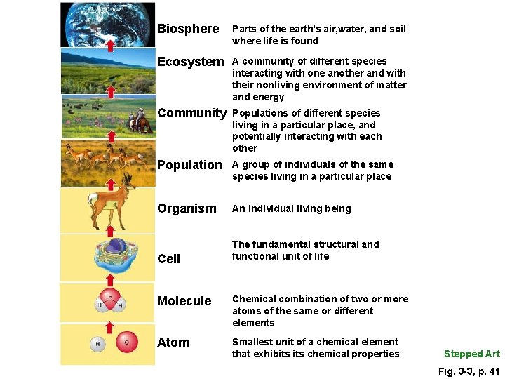 Biosphere Parts of the earth's air, water, and soil where life is found Ecosystem