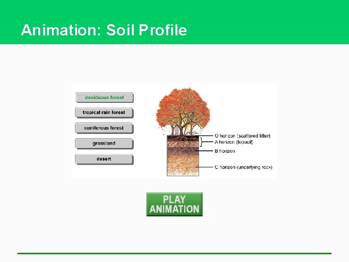 Animation: Soil Profile 