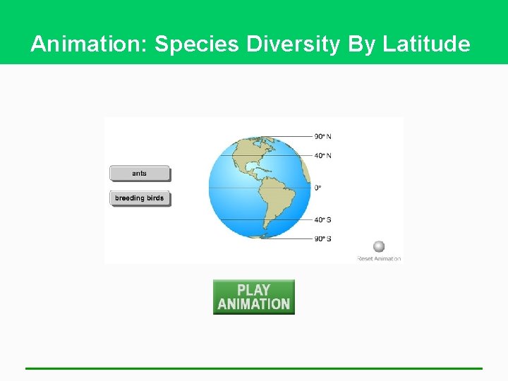 Animation: Species Diversity By Latitude 