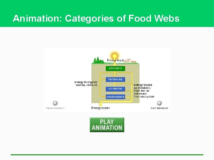 Animation: Categories of Food Webs 