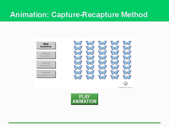 Animation: Capture-Recapture Method 