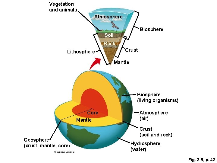 Vegetation and animals Atmosphere Biosphere Soil Rock Lithosphere Crust Mantle Biosphere (living organisms) Core