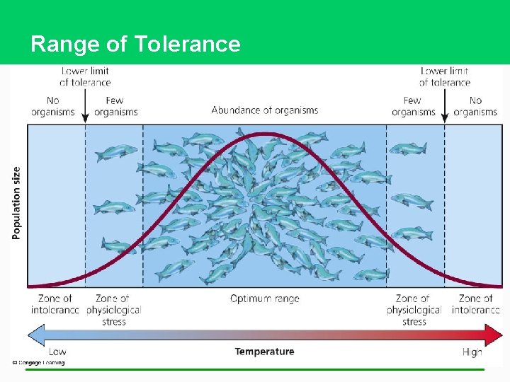 Range of Tolerance 