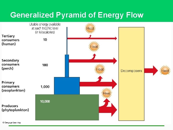 Generalized Pyramid of Energy Flow 