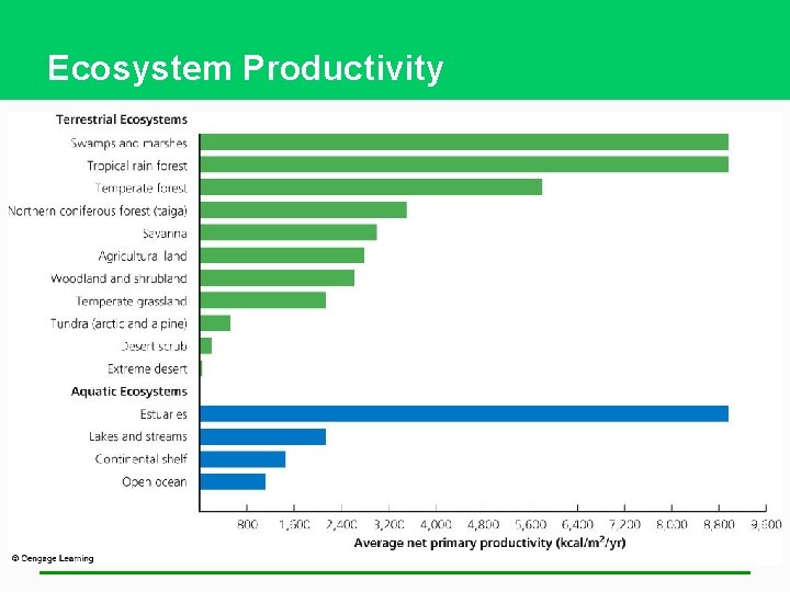 Ecosystem Productivity 
