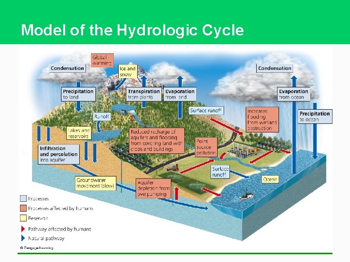Model of the Hydrologic Cycle 